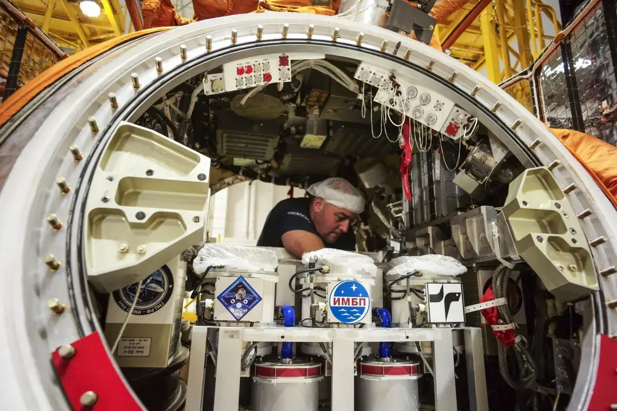 Panspermia experiment
