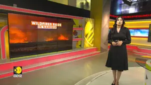 Namibia fires threaten wildlife and habitat in Etosha National Park