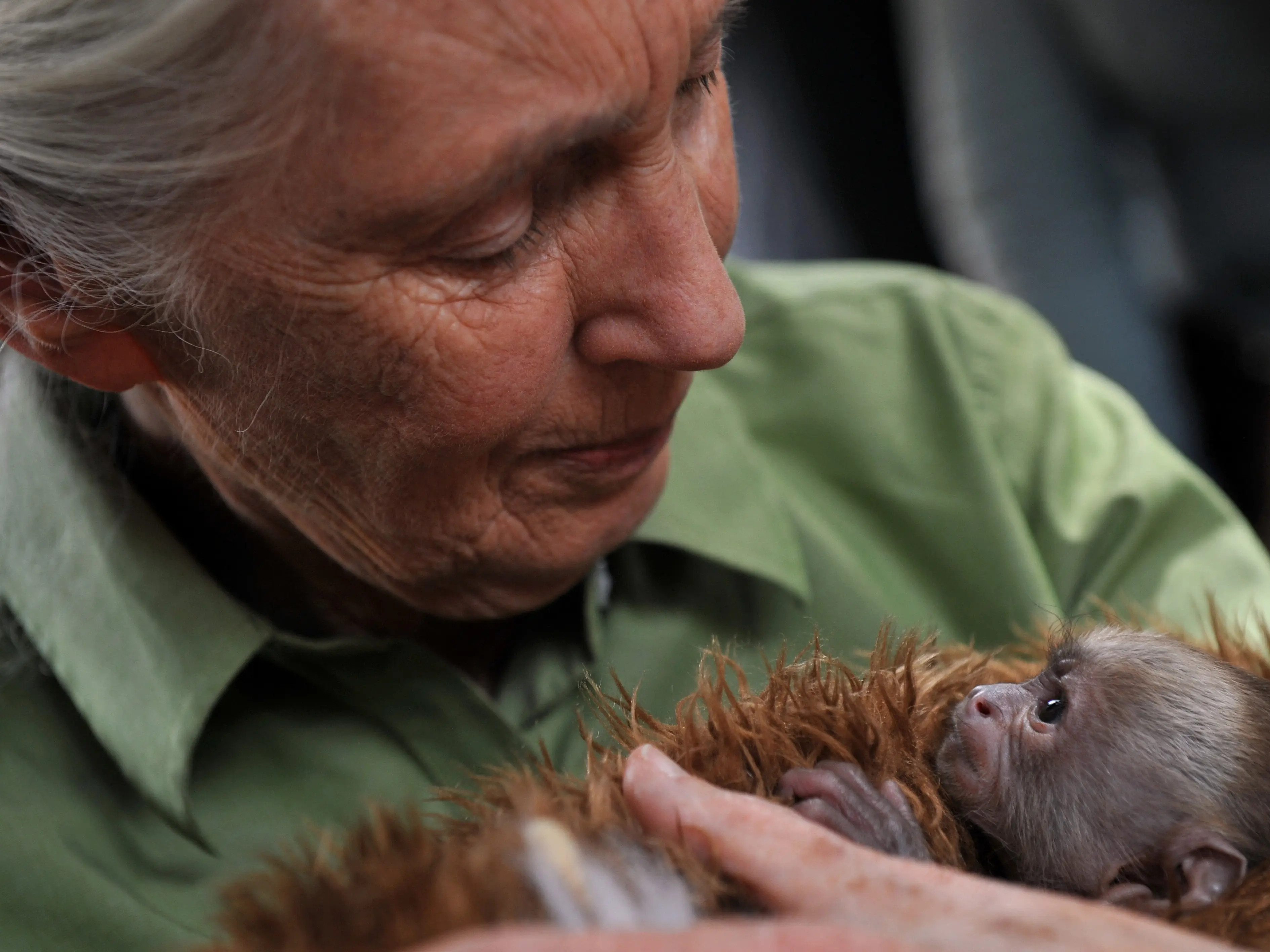 'Messenger of Peace': Jane Goodall, trailblazing primatologist, and conservationist, dies at 91 'Messenger of Peace': Jane Goodall, trailblazing primatologist, and conservationist, dies at 91