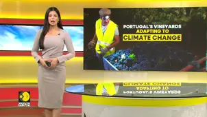 Portugal: Climate Change Impacts Wine Industry Practices
