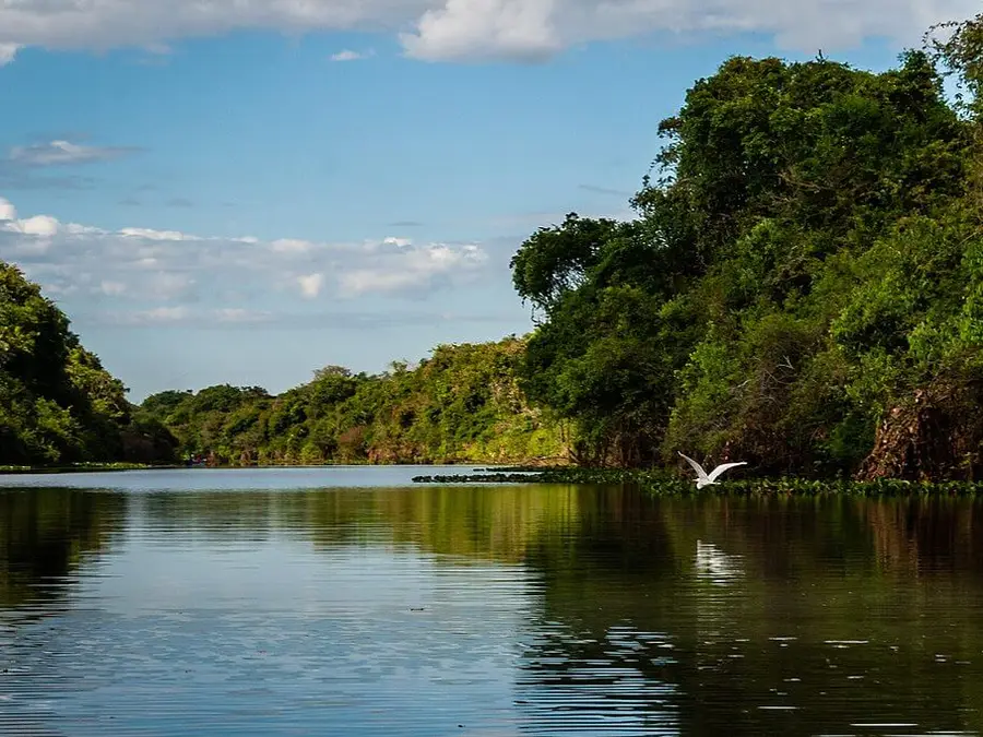These countries have the most renewable freshwater in 2026