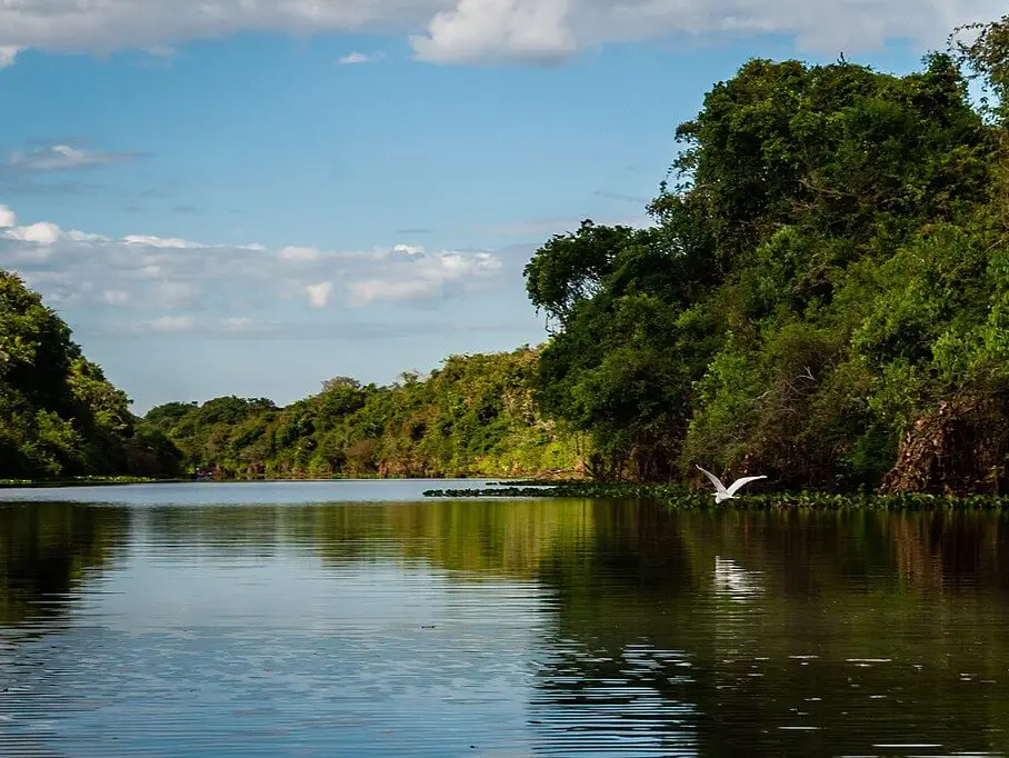 These countries have the most renewable freshwater in 2026