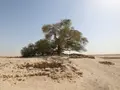 Global water crisis: Top 7 countries with the highest water scarcity