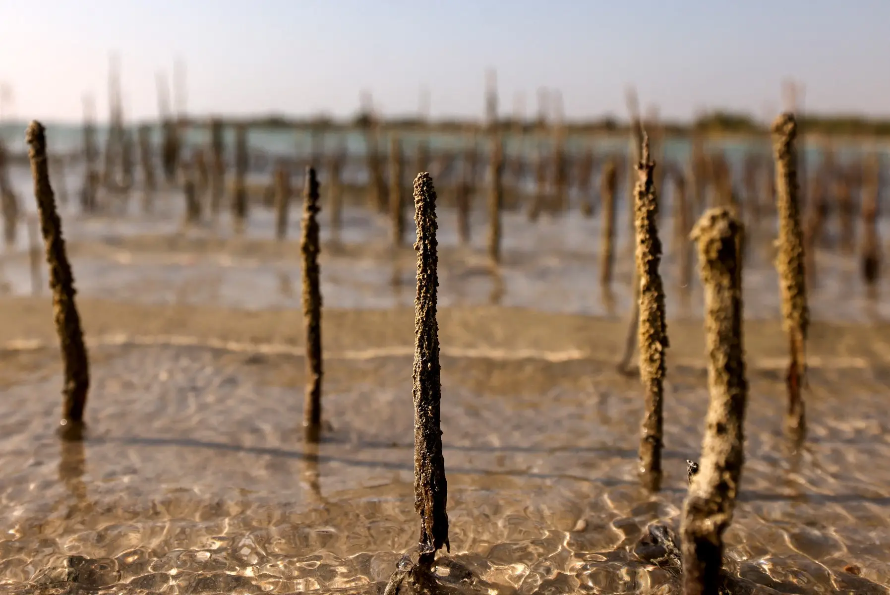 Global water crisis: Top 7 countries with the highest water scarcity 7 United Arab Emirates