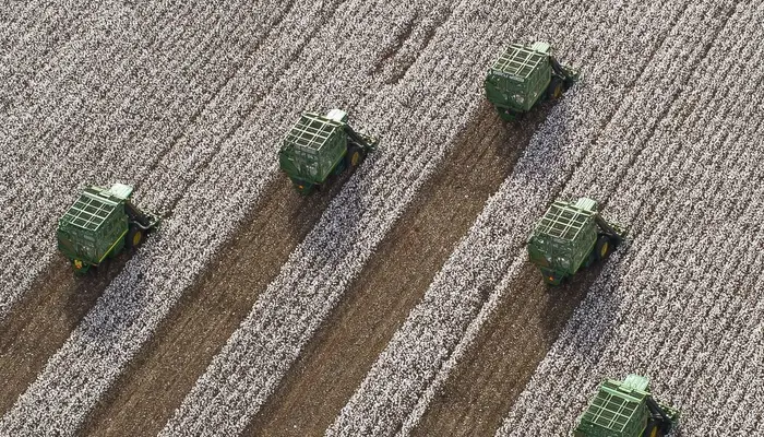 World Cotton Day 2025: Top 7 cotton producing countries in the world – Check where India stands