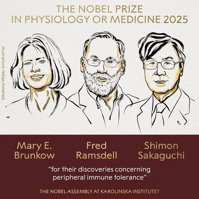 Nobel Prize medicine 2025: Mary E Brunkow, Fred Ramsdell and Shimon Sakaguchi awarded for peripheral immune tolerance research