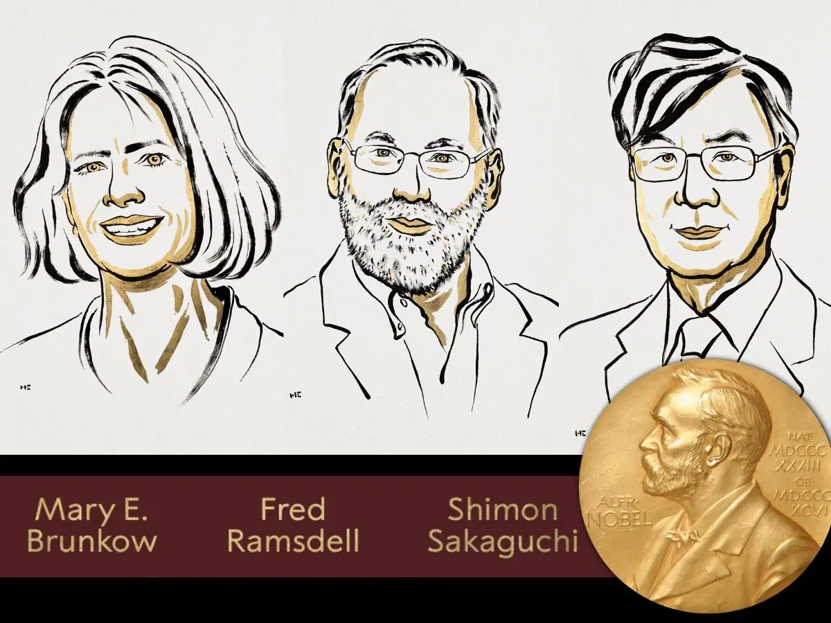 Nobel Prize medicine winners 2025: Who are Mary Brunkow, Fred Ramsdell and Shimon Sakaguchi? Nobel Prize medicine winners 2025: Who are Mary Brunkow, Fred Ramsdell and Shimon Sakaguchi?