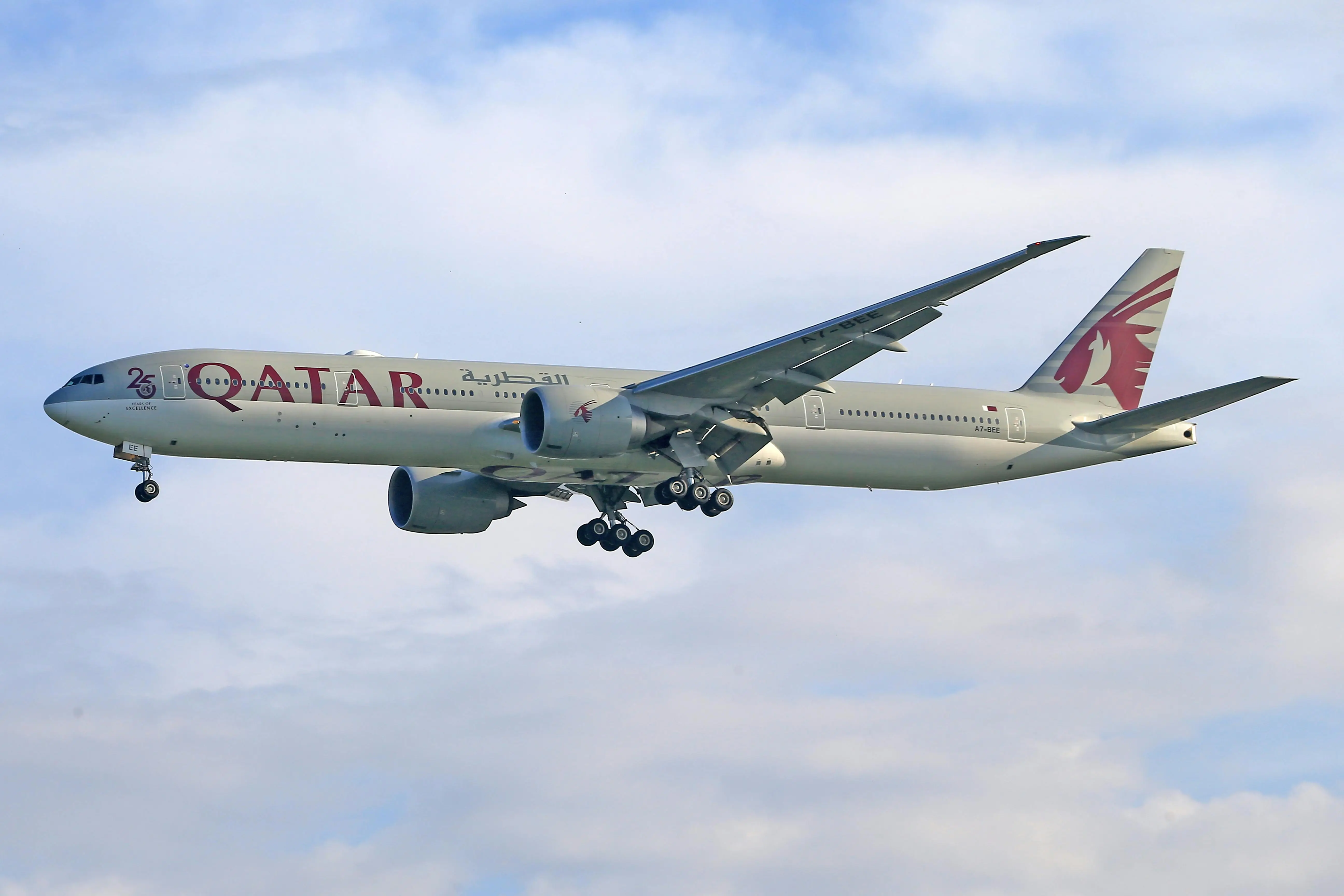 85-year-old vegetarian told to 'eat around the meat' on Qatar Airways flight chokes to death