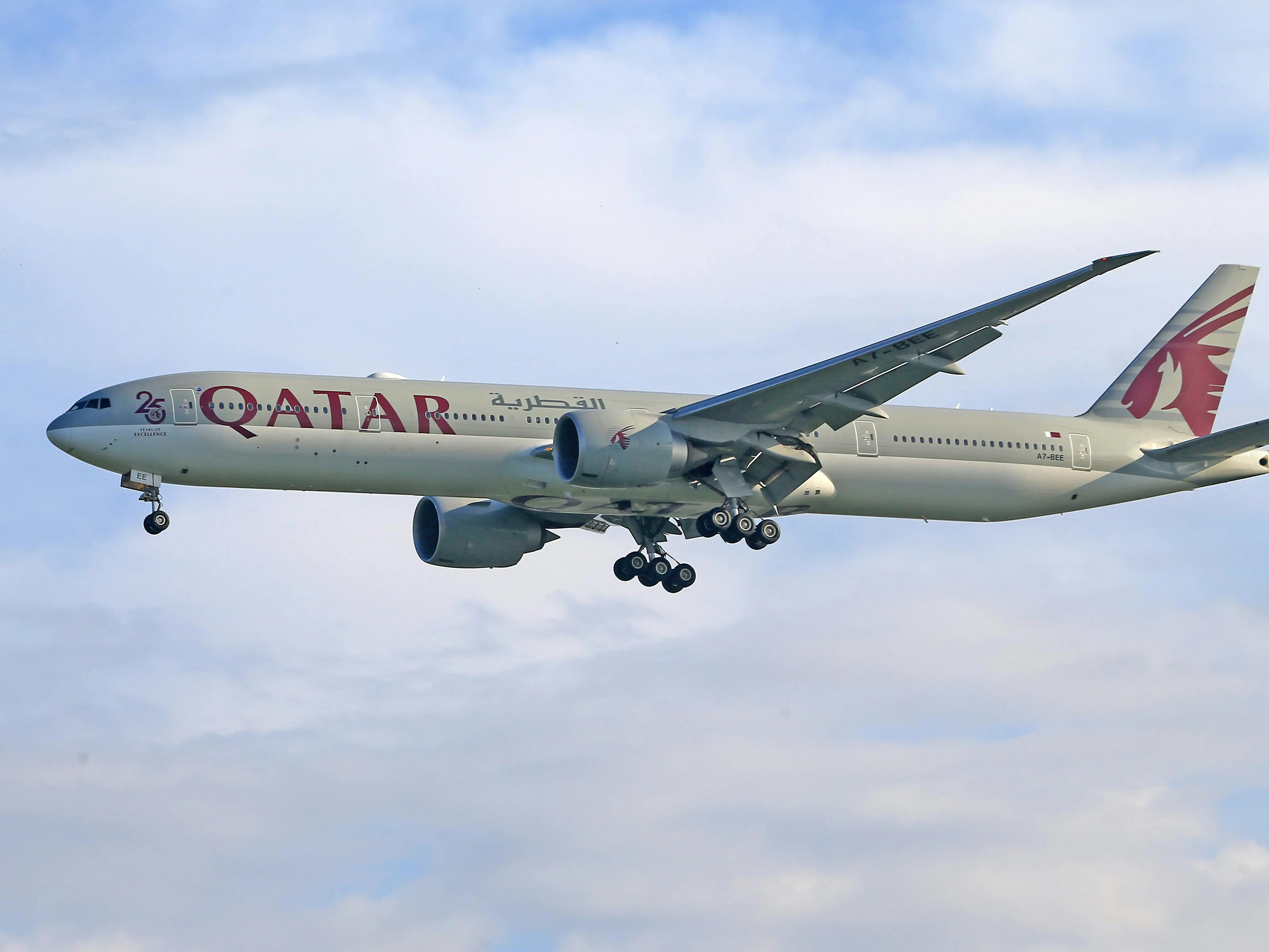 85-year-old vegetarian told to 'eat around the meat' on Qatar Airways flight chokes to death