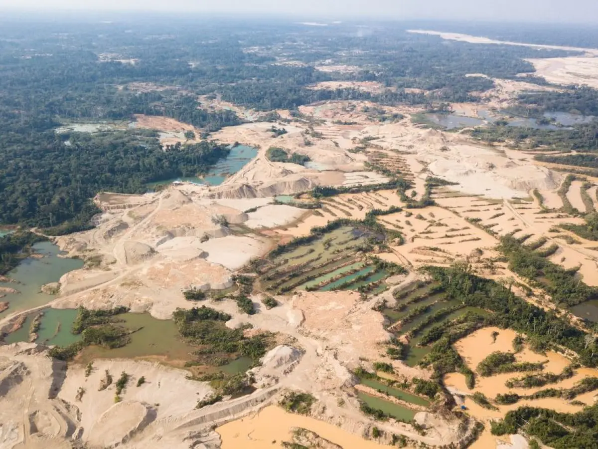 Loss of biodiversity and ecosystem damage