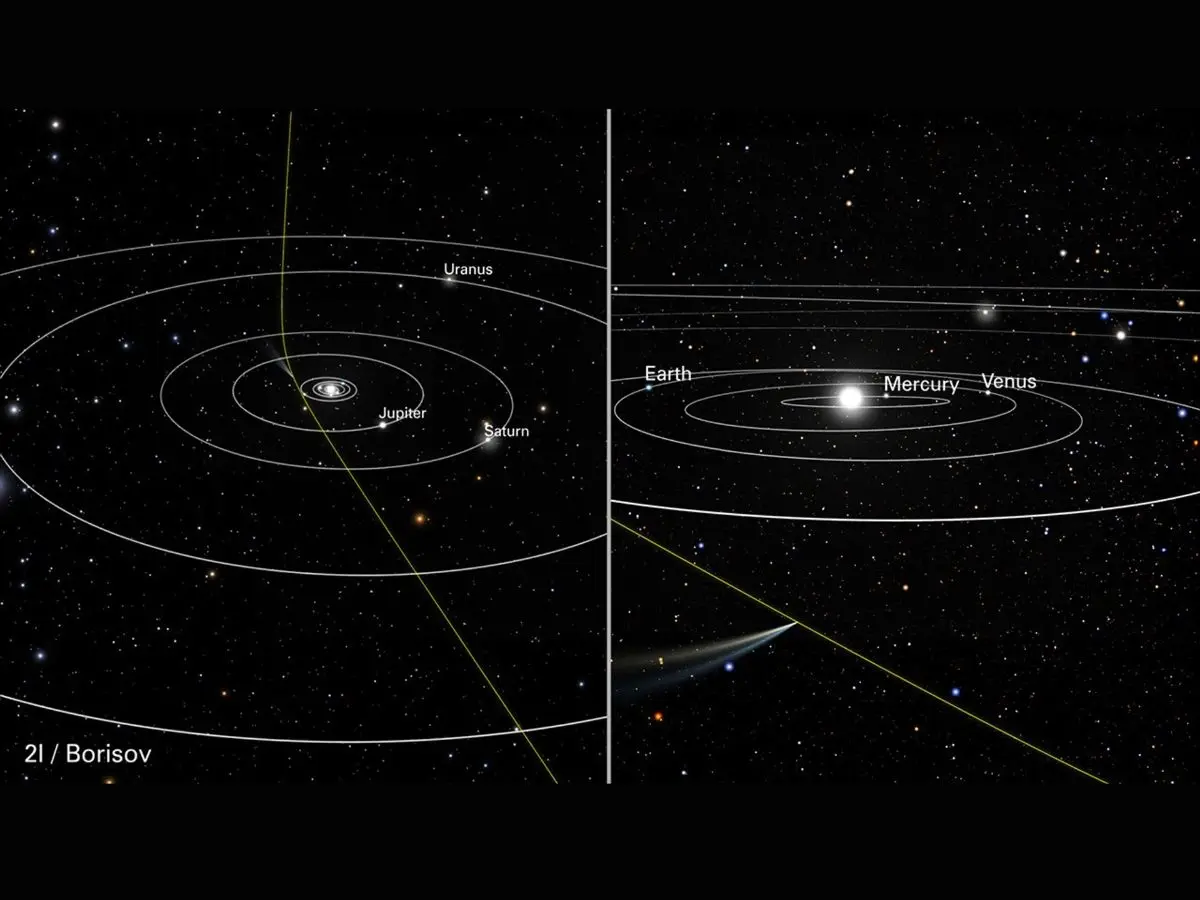 A Comparative Overview