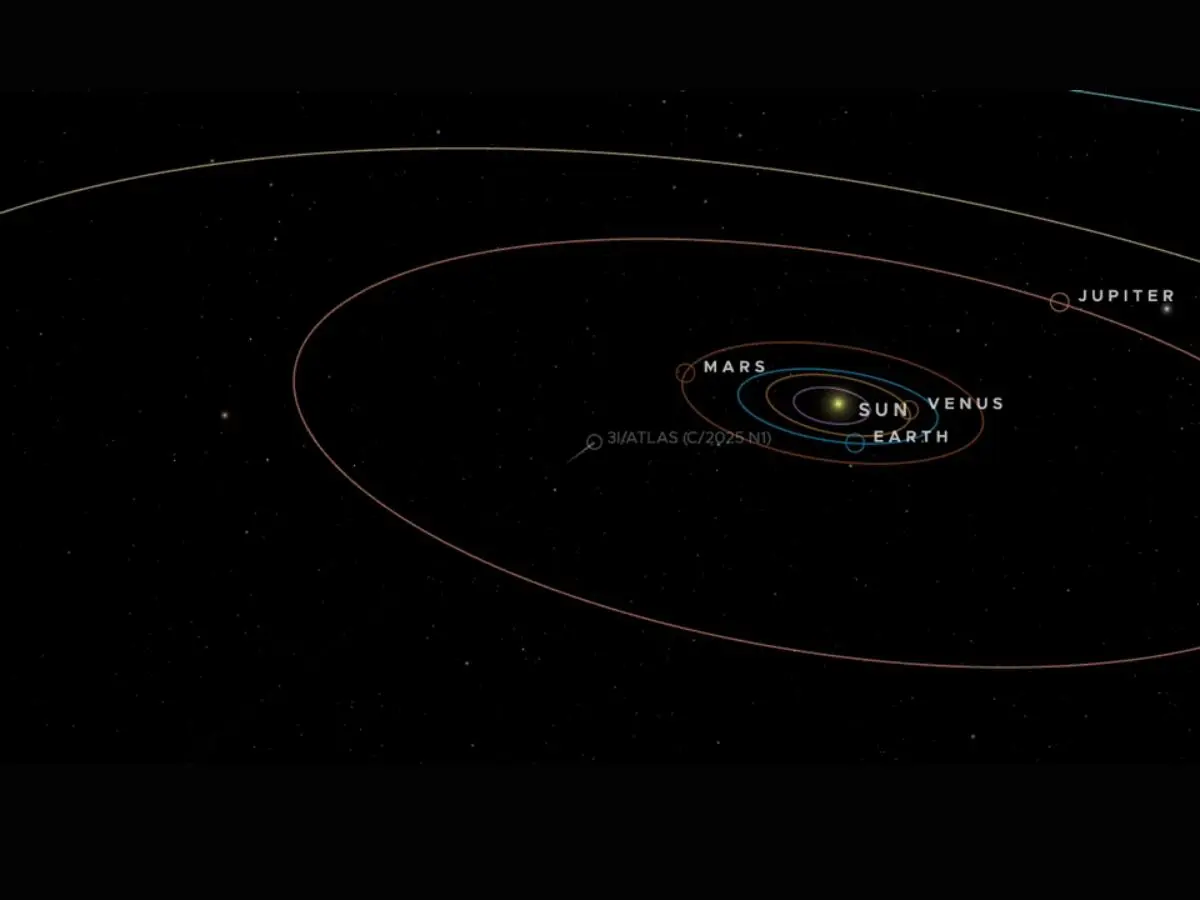Composition and Activity