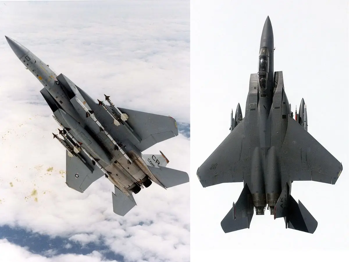 The One-Wing Survival