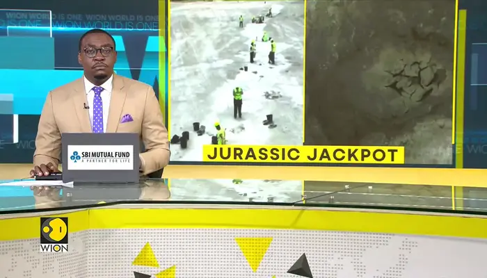 Jurassic Jackpot: Discovery Sheds Light On Life In The Middle Jurassic Period