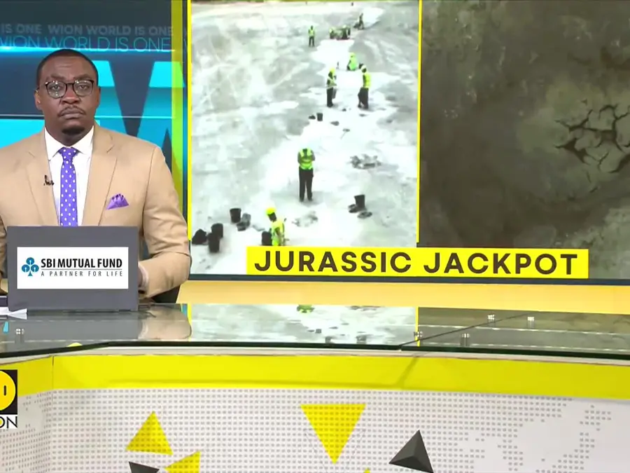 Jurassic Jackpot: Discovery Sheds Light On Life In The Middle Jurassic Period