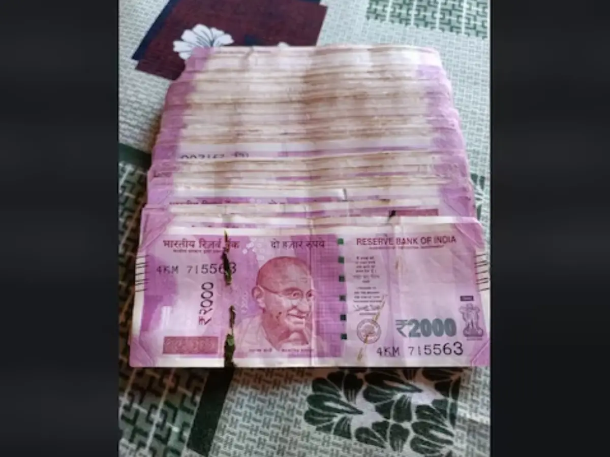 Rs 2,000 notes worth Rs 2 lakh found during Diwali cleaning shocks Indian family - What to do with them? Rs 2,000 notes worth Rs 2 lakh found during Diwali cleaning shocks Indian family - What to do with them?