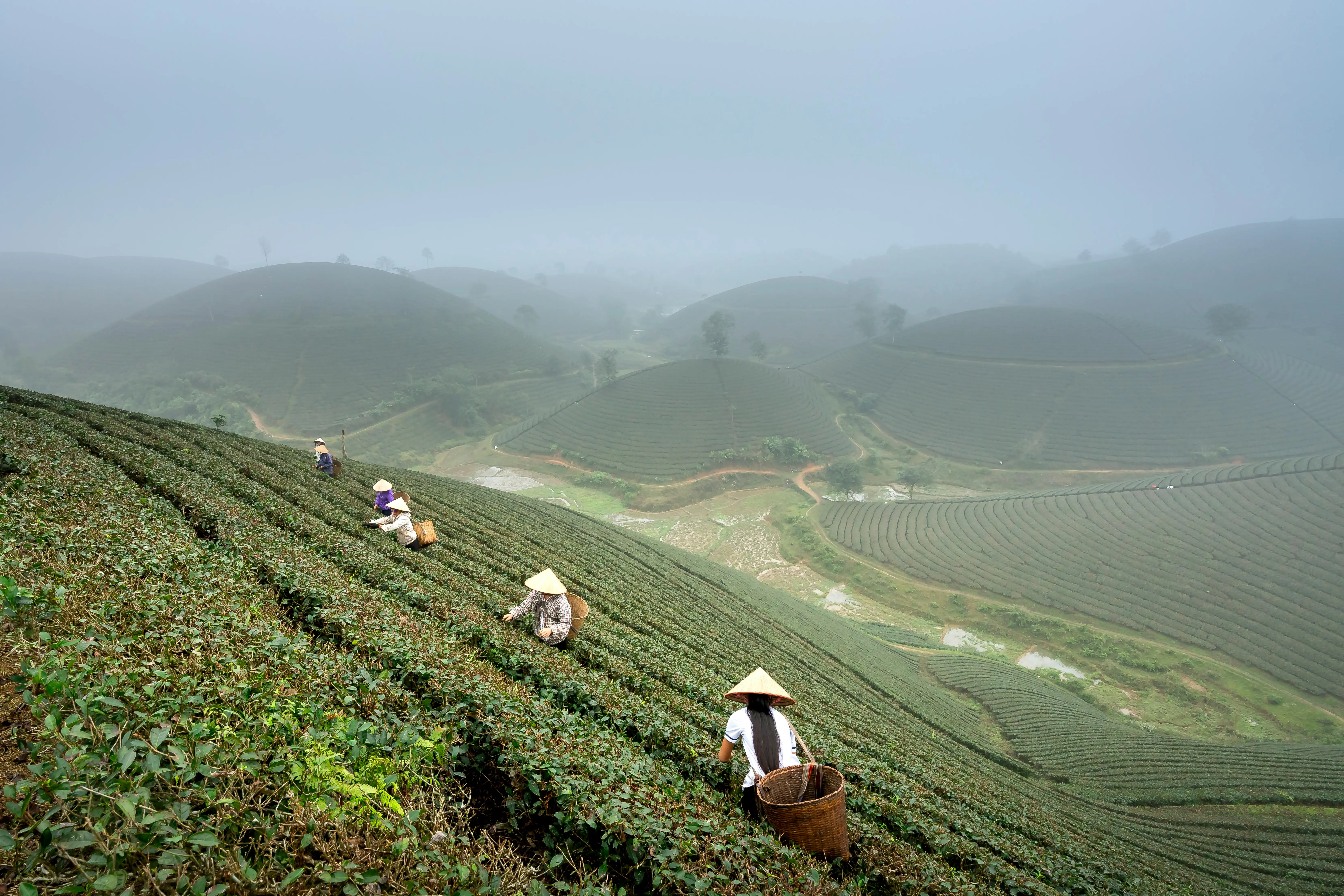 4. Kerala