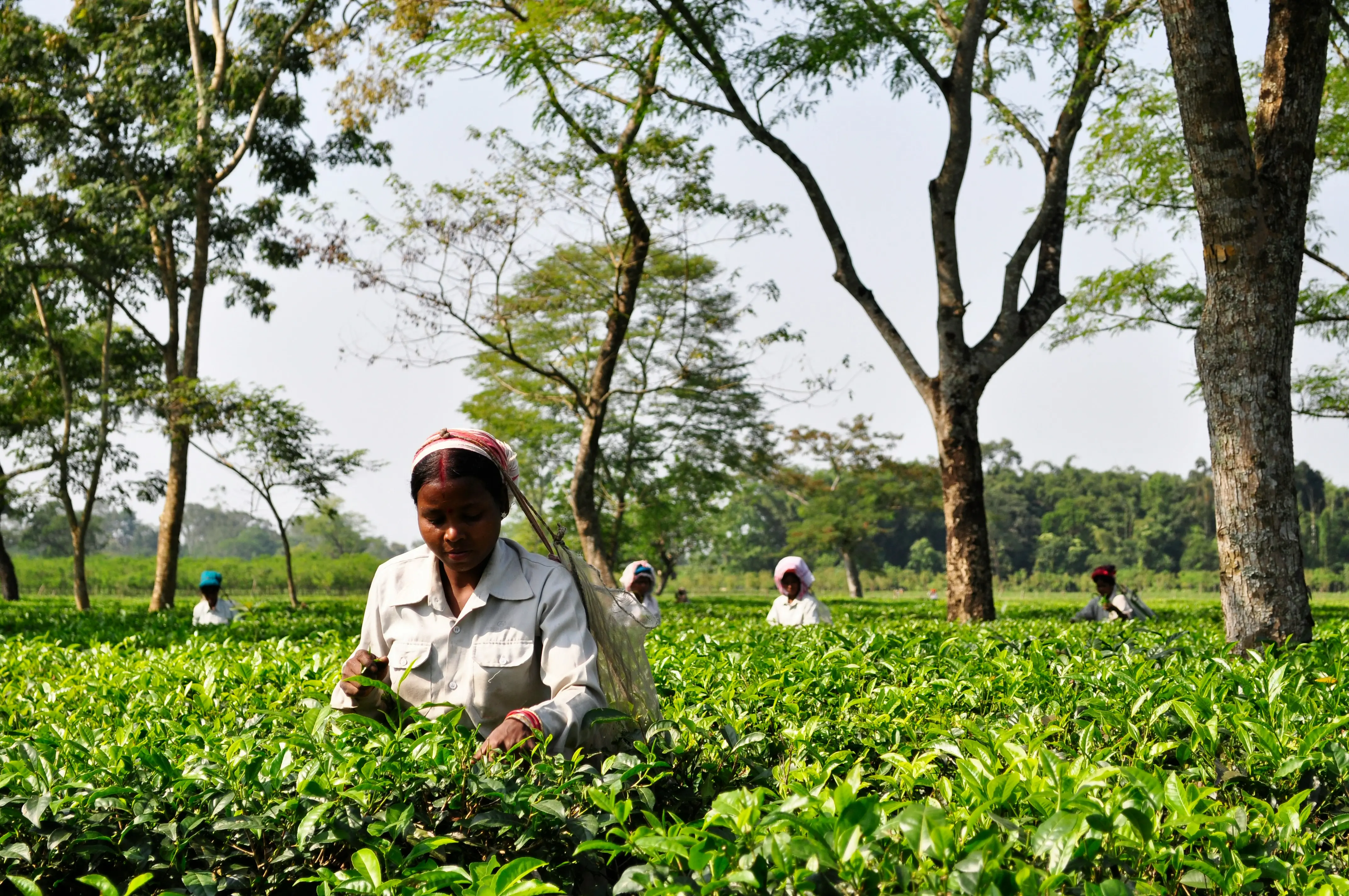 2. West Bengal