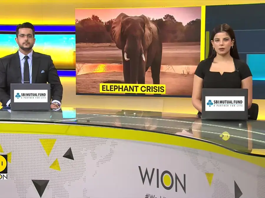 India's Elephant Population Drops 25% |DNA Testing Shows India Lost 7,500 Elephants Since 2017