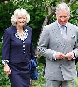 The Infamous Phone Call