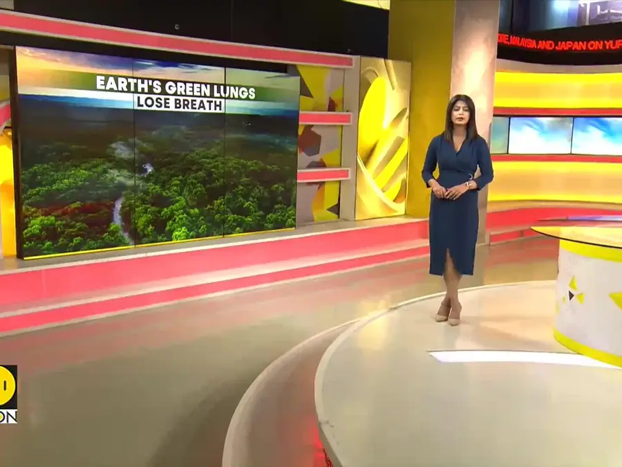 Study: Australia's Rainforests Release More Carbon Than They Absorb