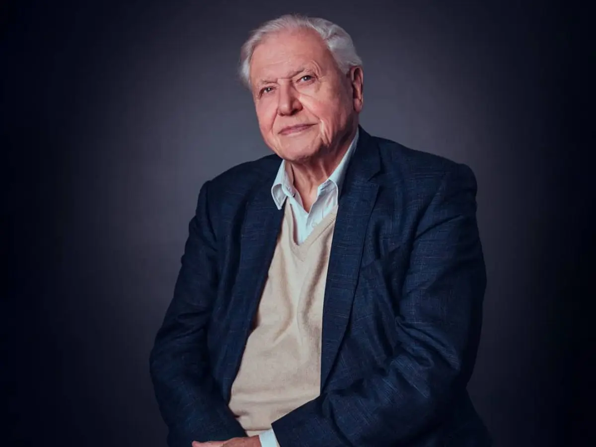 David Attenborough, legendary broadcaster, wins Daytime Emmy at 99 David Attenborough, legendary broadcaster, wins Daytime Emmy at 99