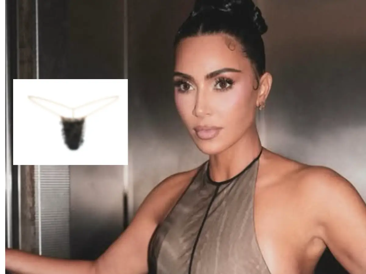 Kim Kardashian on Skims fake p***c hair underwear: 'It was just a fun, silly idea.'
