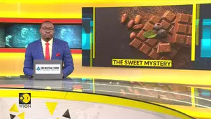 Scientists find way to control cocoa flavours with microbe mix