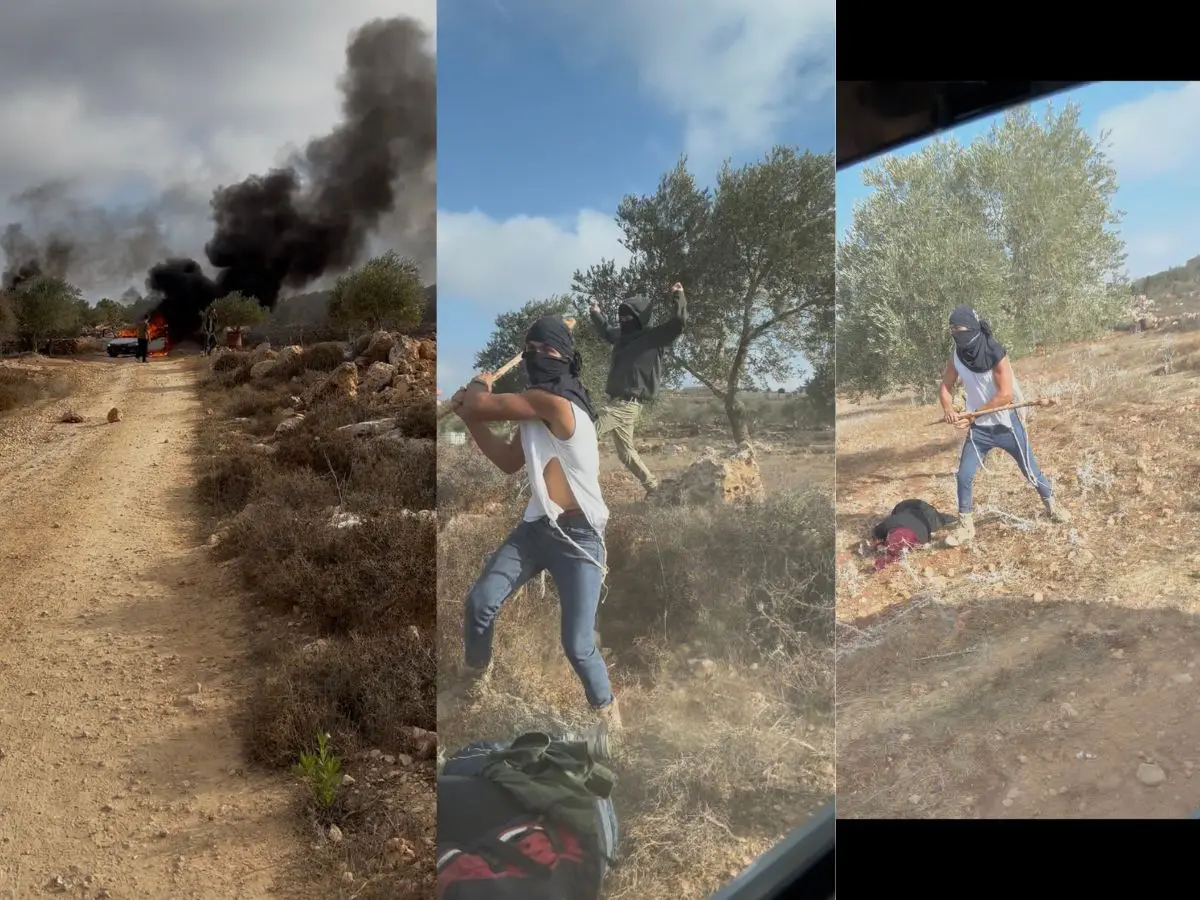 VIDEO | Israeli settler brutally beats Palestinian woman unconscious with a club during olive harvest VIDEO | Israeli settler brutally beats Palestinian woman unconscious with a club during olive harvest