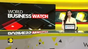 U.S. Debt Pressures Mount Amid Credit Risks | WORLD BUSINESS WATCH | WION