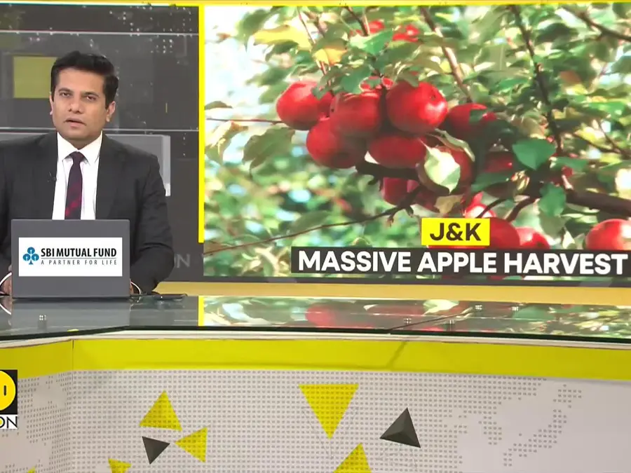 Truckloads of Kashmiri Apples Flood Hyderabad Markets | Prices Expected to Drop 