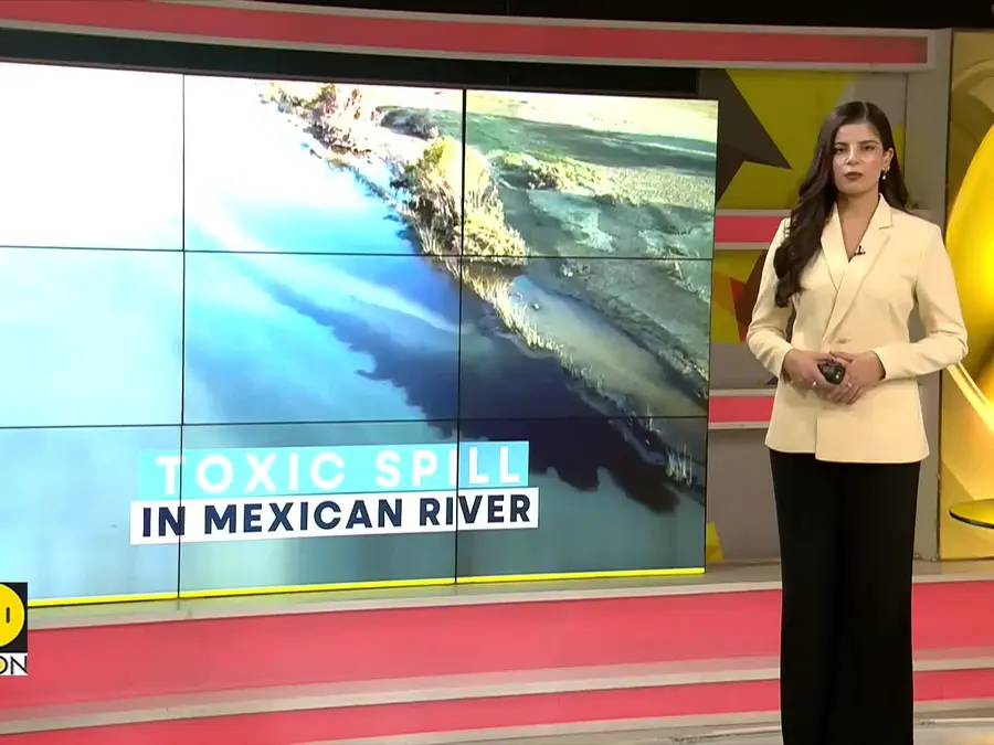 Mexico: 8-Kilometer Oil Spill Devastates Pantepec River Ecosystem  | WION CLIMATE TRACKER