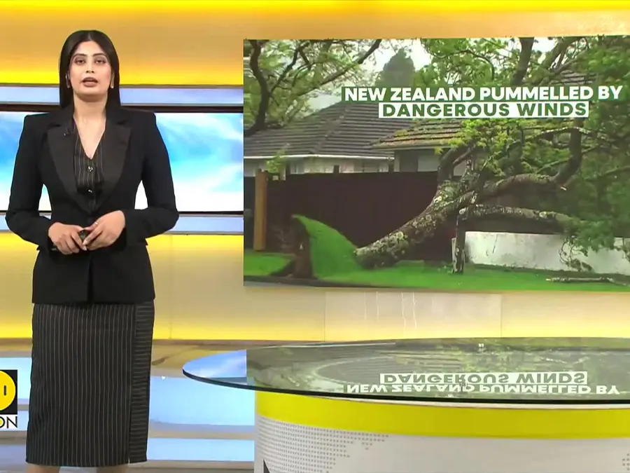 Flights Canceled and a ‘Mega Strike’ Disrupted as Dangerous Winds Hit New Zealand
