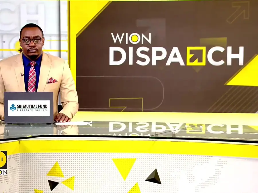 Belgians Race Pumpkin Boats in 100m Relay In a Unique Water Contest