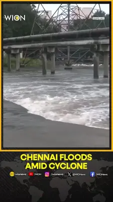 Wion News