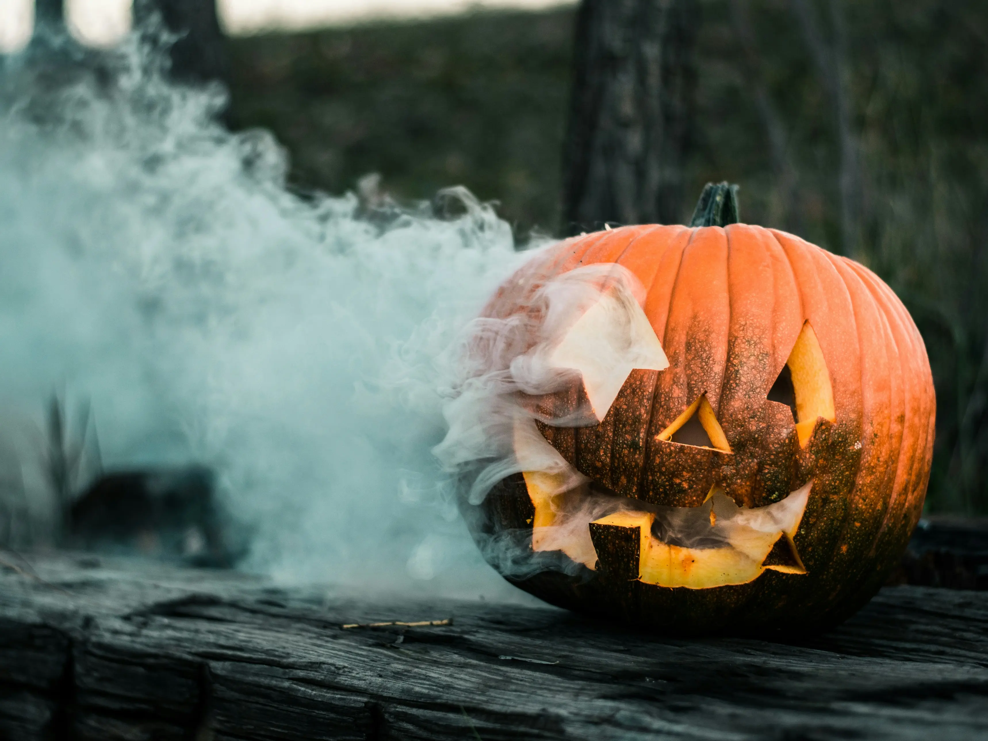 The story behind the title: Halloween capital of the world The story behind the title: Halloween capital of the world