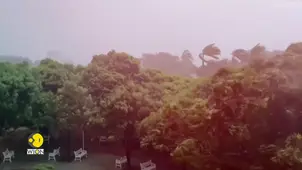 Hurricane Melissa Moves Beyond Jamaica, US Weather Center Warns of Flooding | WION 