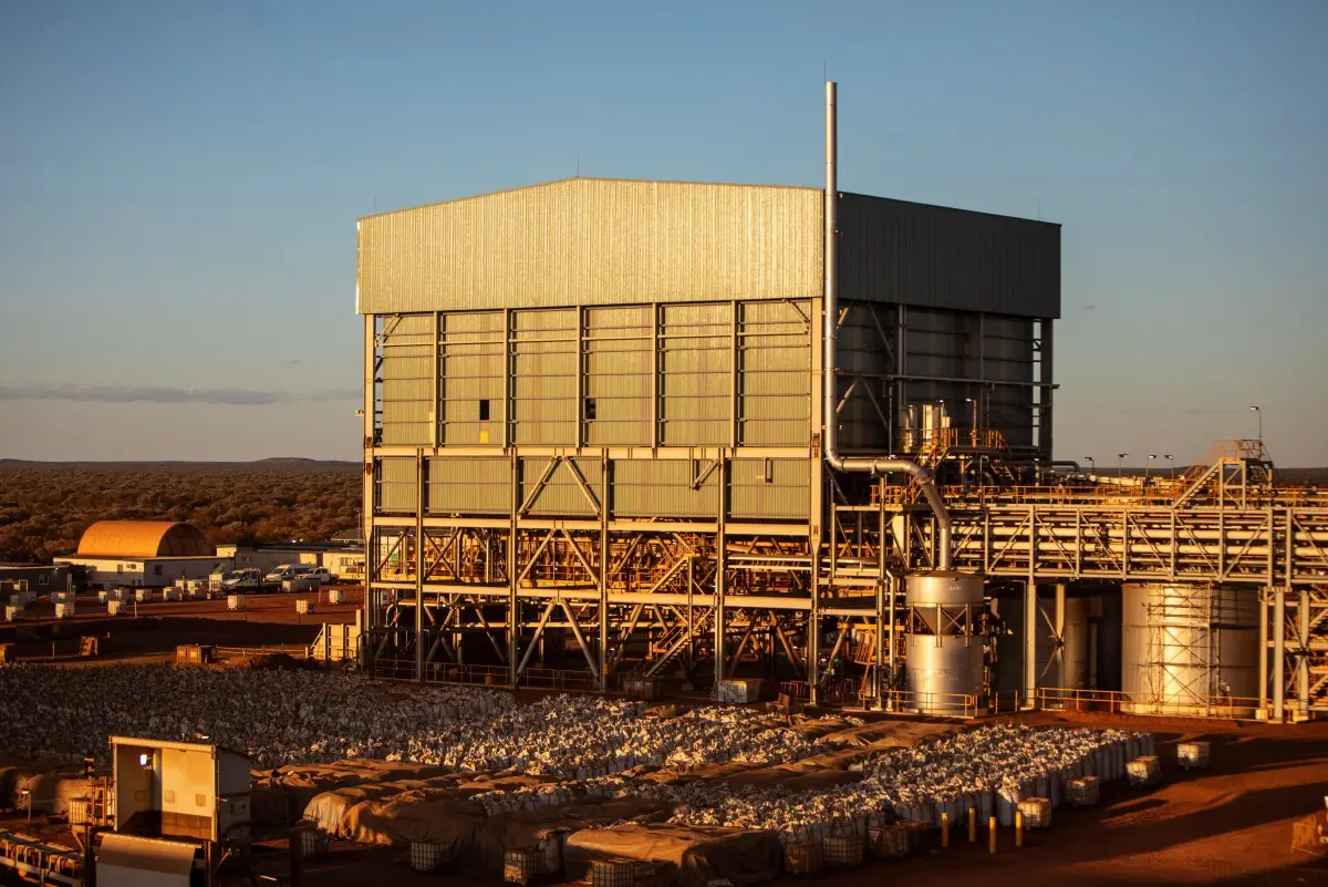 How can India meet its rare earth demand amid China's dominance? HCL co-founder suggests innovative solution