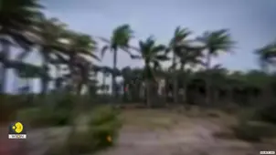 Cyclone Montha Hits Andhra Coast, 2 Killed and Tens of Thousands of Hectares Damaged