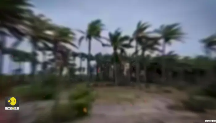 Cyclone Montha Hits Andhra Coast, 2 Killed and Tens of Thousands of Hectares Damaged