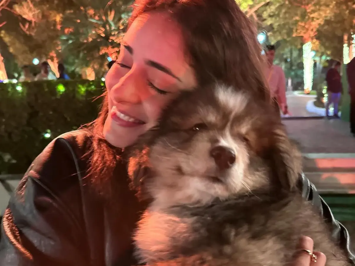 Brand Endorsement like Drools, Sketchers and many more..