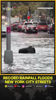 Wion News