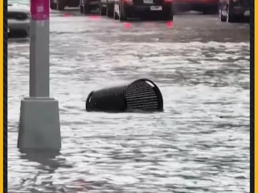 New York: Heavy Downpour Causes Severe Flooding, Stranding Vehicles Across New York | WION 
