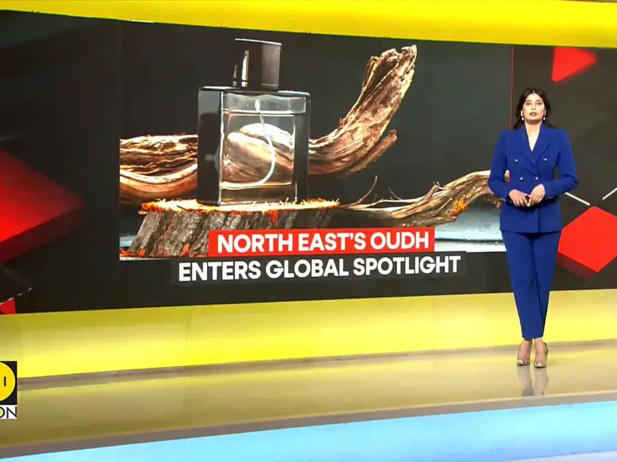 North East Oudh Takes Center Stage; Tipped to Earn Up to $2.4 Billion