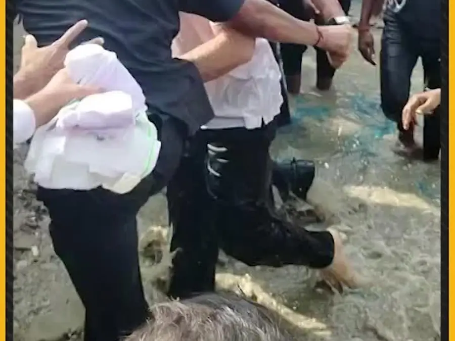 Rahul Gandhi Swims, Clicks Selfies With Locals in Begusarai Pond During Bihar Campaign Trail |