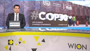 Amazon Hosts COP30: Global Leaders Meet to Tackle Climate Crisis 