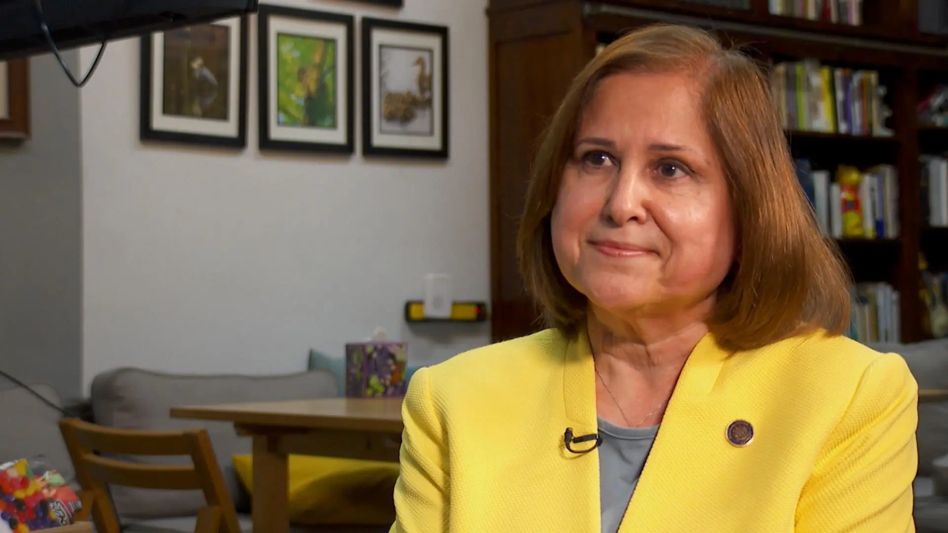 Who is Ghazala Hashmi? Indian-born first Muslim woman wins Virginia Lt Governor race in historic first