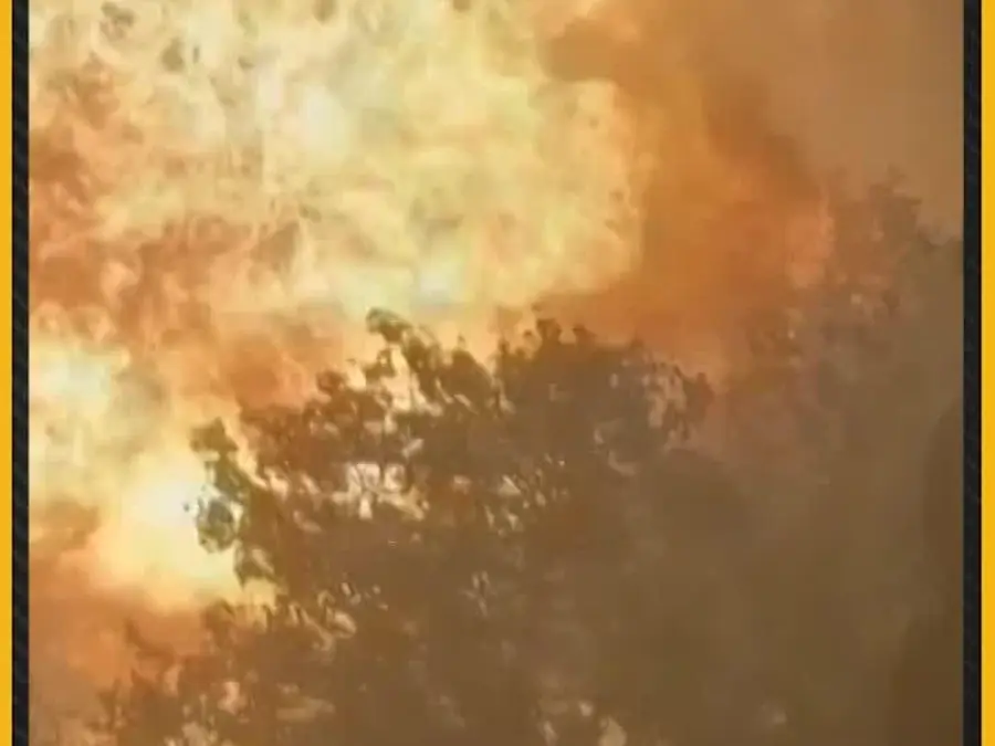 Bronx car explosion: dramatic video shows explosion erupting into massive Fireball 