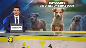 SC On Strays: Dogs Removed from Premises Not to Be Released Back
