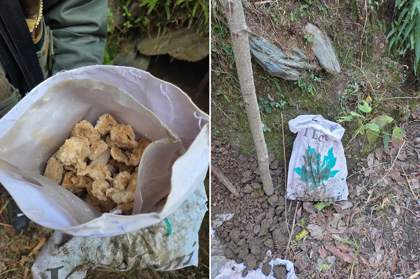 Security forces foil major narcotics smuggling bid in Tangdhar, Kupwara